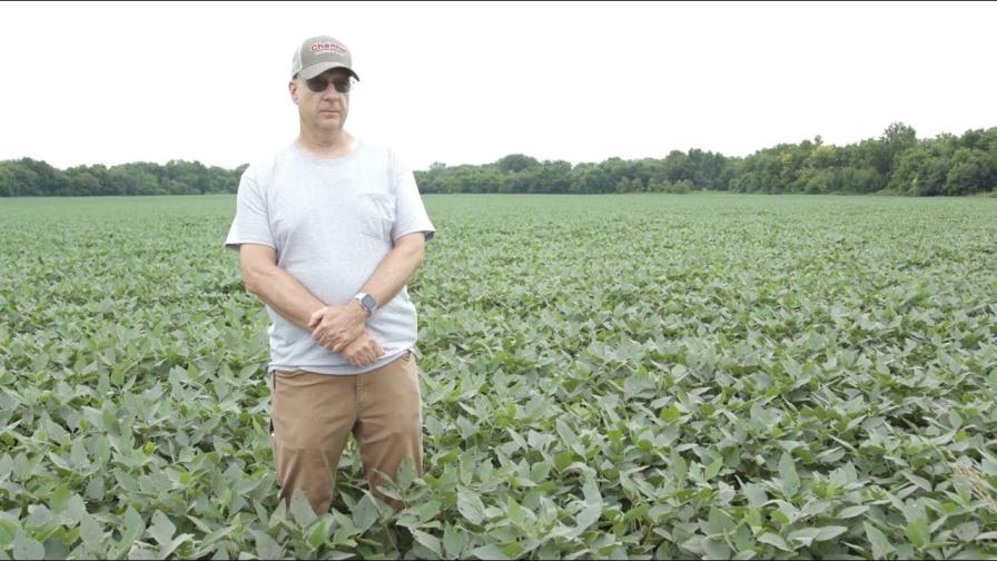 Channel Introduces 20 New XtendFlex Soybean Products