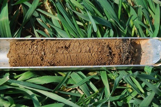 New Tool Accounts for Nitrogen from Cover Crops, Soil Organic Matter