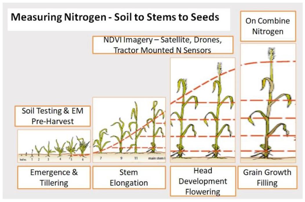 Protein Mapping Identifies Nitrogen Limited Zones Within the Field