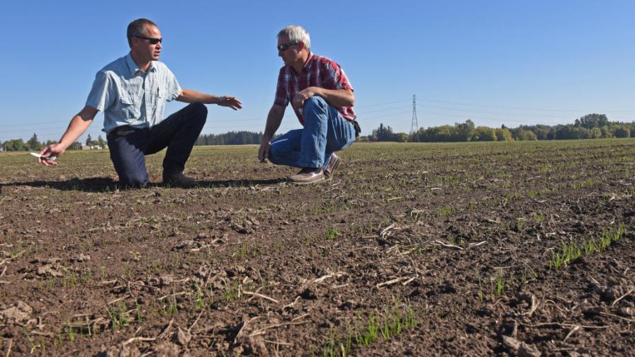 The Carbon Credits Game: What Role Do Ag Retailers Play?
