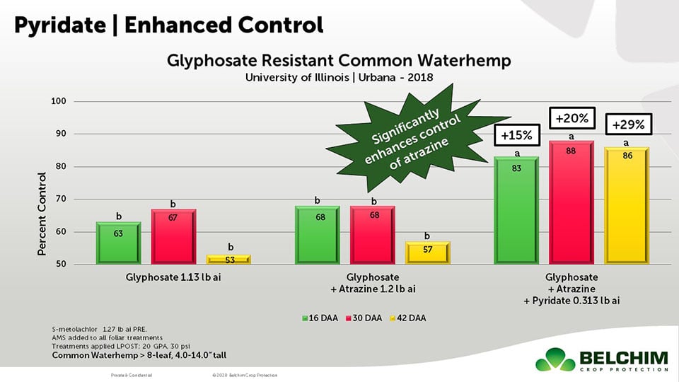 Knock Out Resistant Weeds Like Palmer Amaranth and Common Waterhemp.