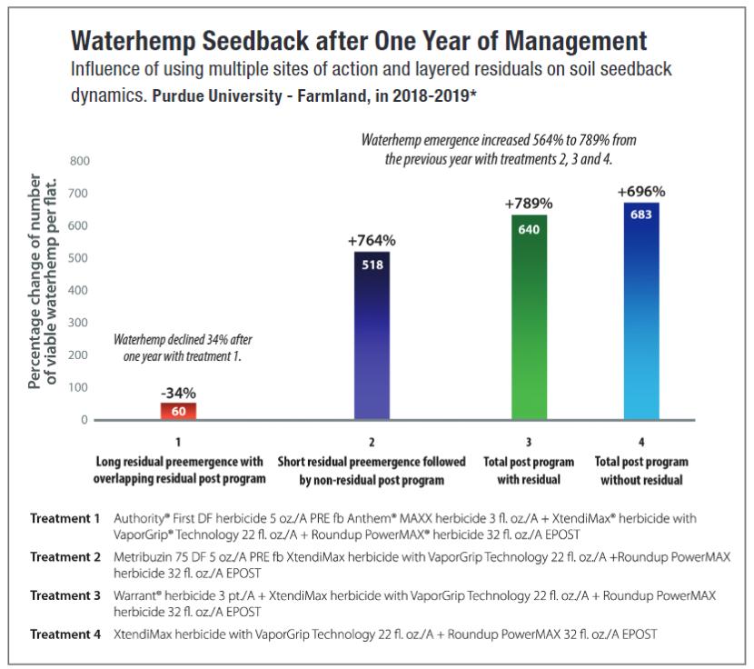 Waterhemp Chart