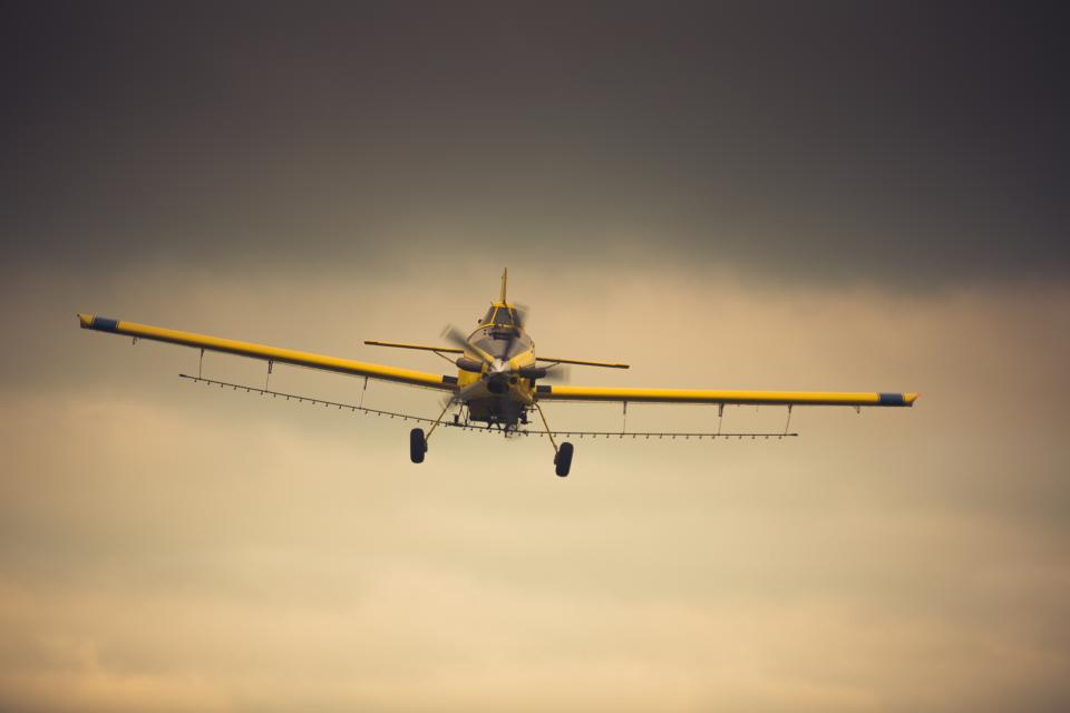 Aerial Applicators Seeding Cover Crops by Air Early This Fall