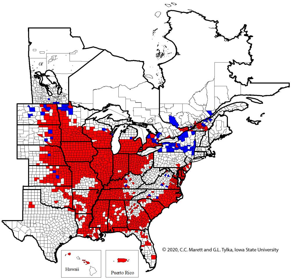 2020_SCN_Infestation_map