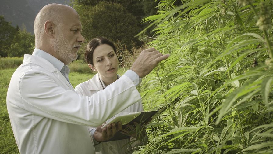 AgTech Venture Capital Roundup: An Overview of Startup Funding in 2020 and What to Expect in 2021