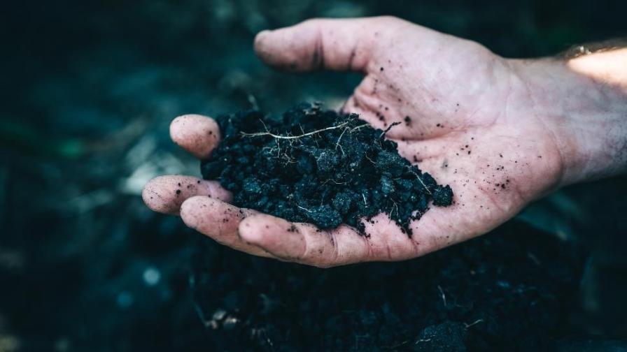 Effective Ways to Boost Your Soil’s Health