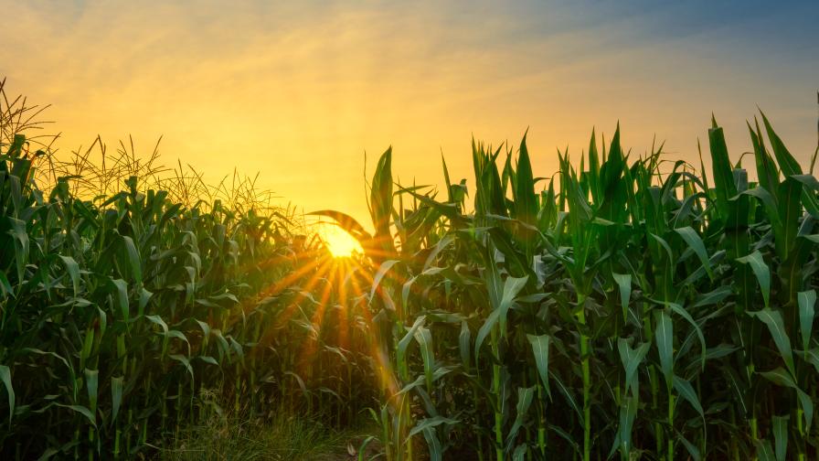 Traction Ag Acquires Corteva’s Granular Business Product