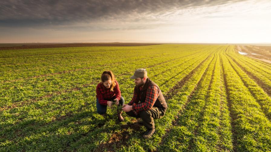 5 Questions on the Value of On-Farm Research with John Fulton