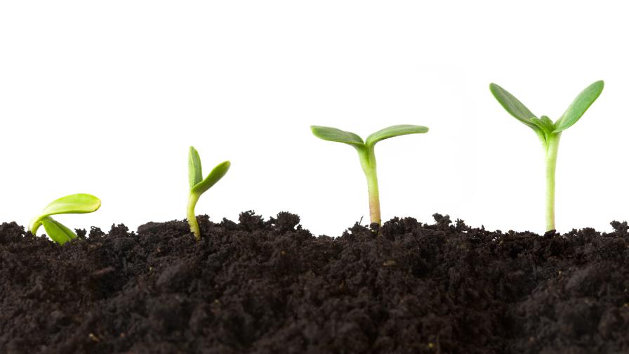 Groundwork BioAg Named Third Most Innovative Food Company by Fast Company