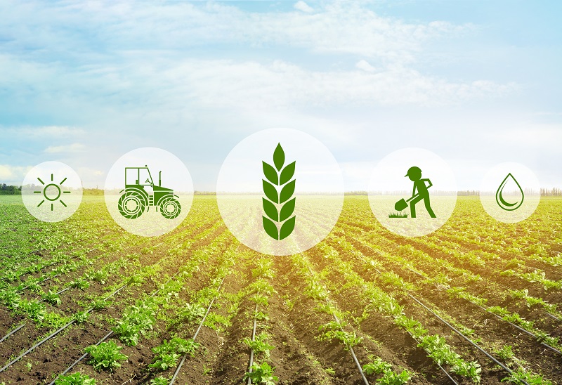 Data is the Key to Achieving Future Sustainability Goals