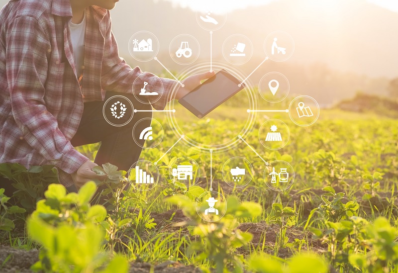 Connecting Data Sources for Sustainability