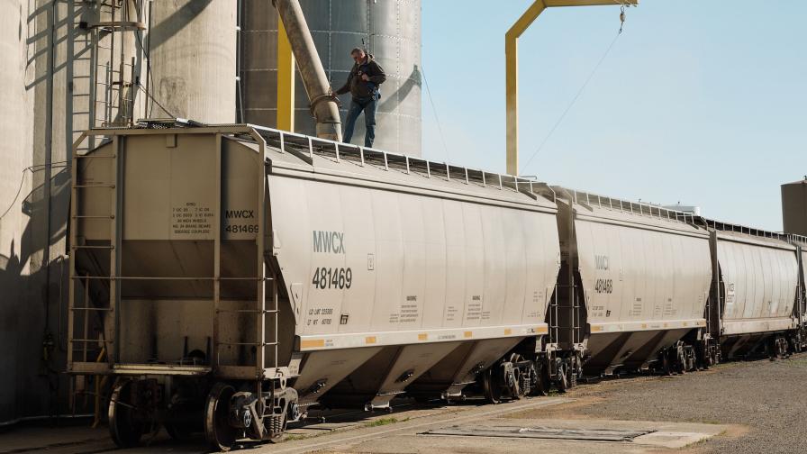 Rail Grain loading Photo Bushel