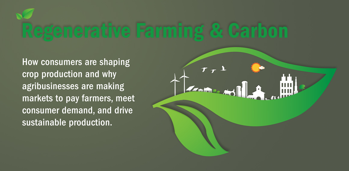 Panel Discussion: How Regenerative Agriculture and Carbon Is Changing Production Systems