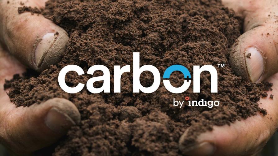 Indigo Pays 267 Farmers In Milestone Progress For First Ever Scalable Ag Carbon Farming Program