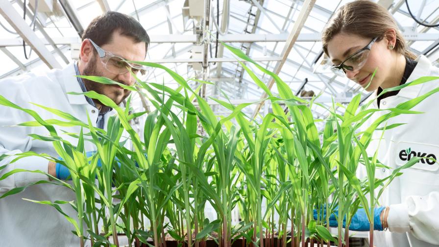 Syngenta Partners with Enko to Accelerate Molecule Discovery