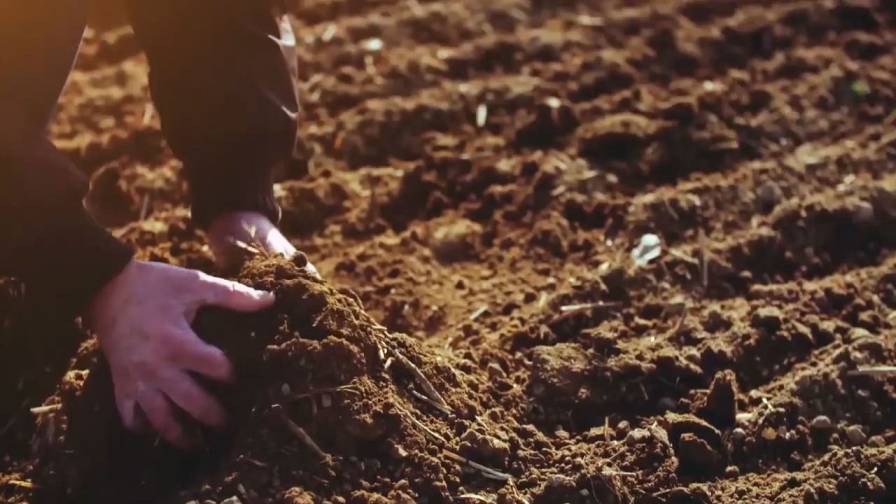 Take Back Control of Record Fertilizer Costs with Biologicals
