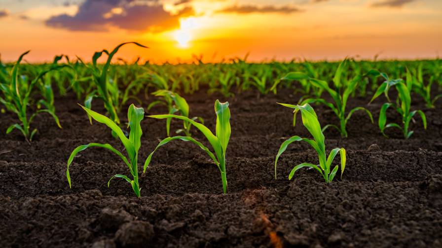 4 Ways to Create Next-Generation Messaging for Biologicals