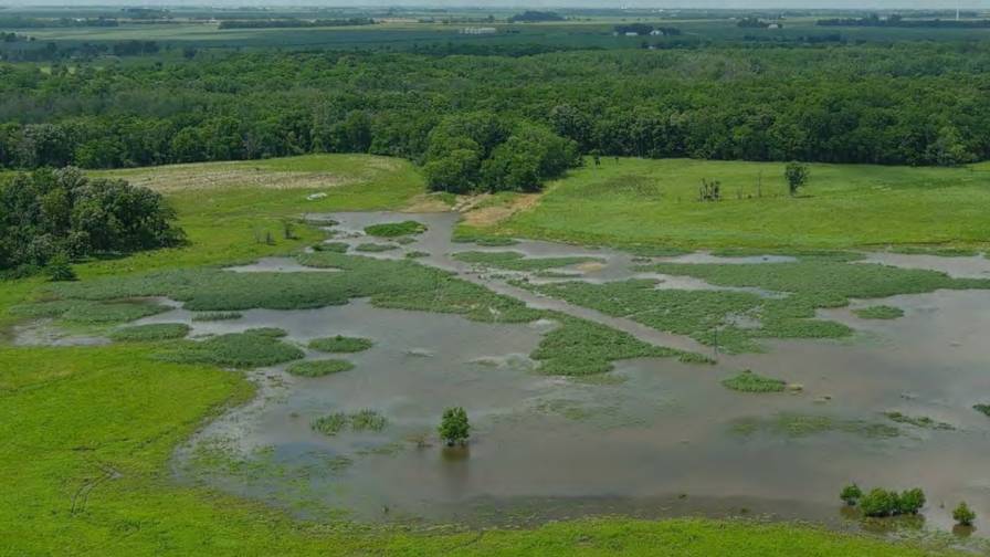 Illinois Nutrient Runoff Reduction Strategy Has Mixed Results