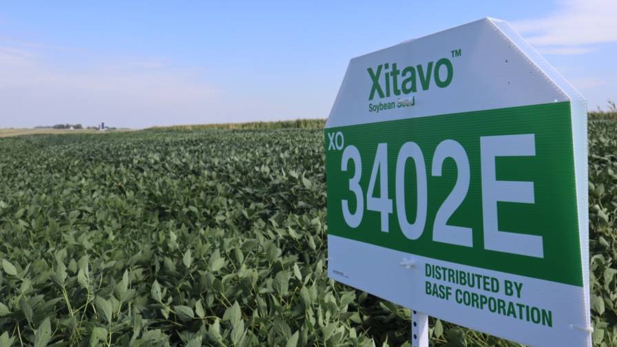 Xitavo Soybean Seed Ranks Highly in 2023 Yield Trials