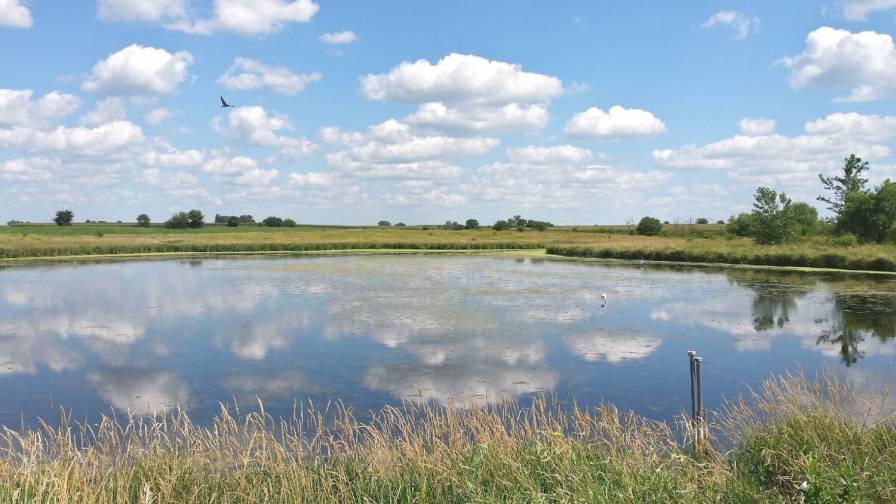 NASDA Asks EPA to Suspend Action on WOTUS Rulemaking