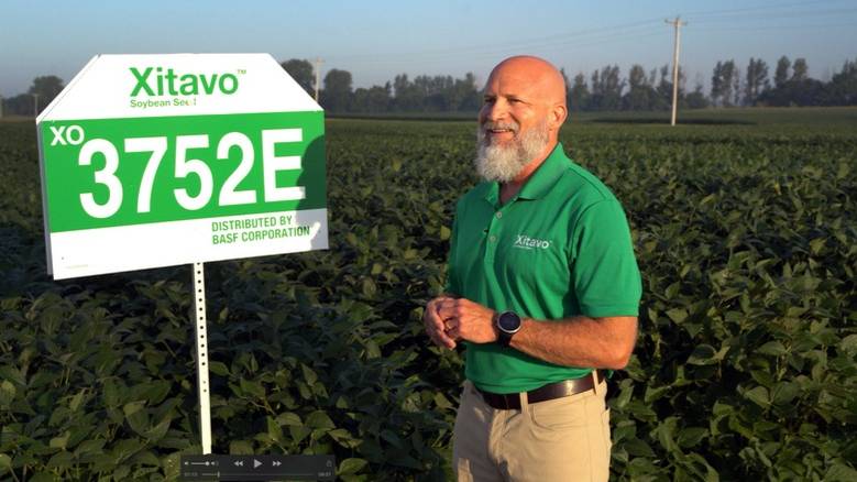 Marc Hoobler, BASF