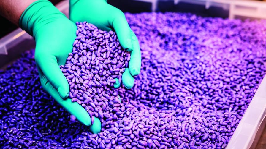 Seed Treatments Among ‘Fastest Growing Segments’ in Crop Protection Market