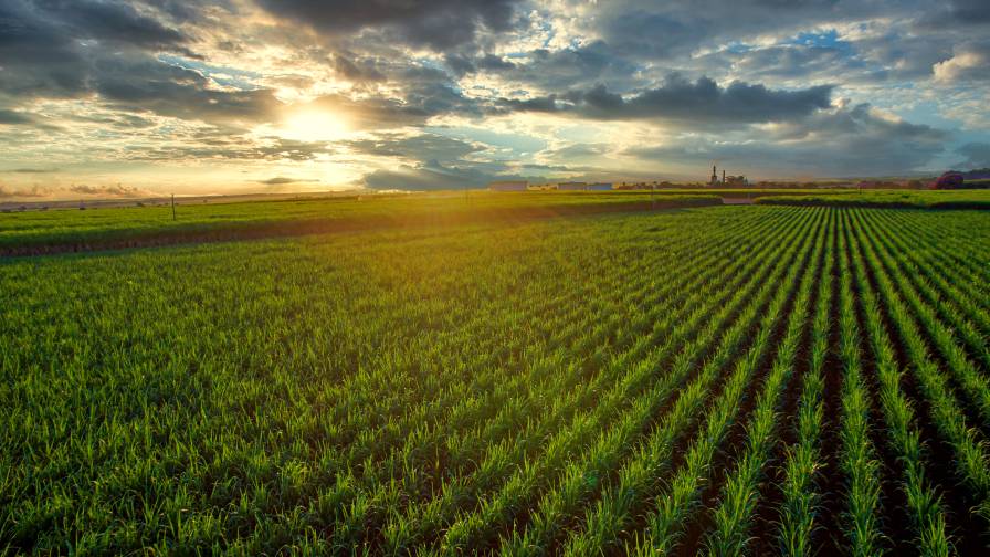 Sound Agriculture and Shell Collaborate on Nitrogen Emissions Study