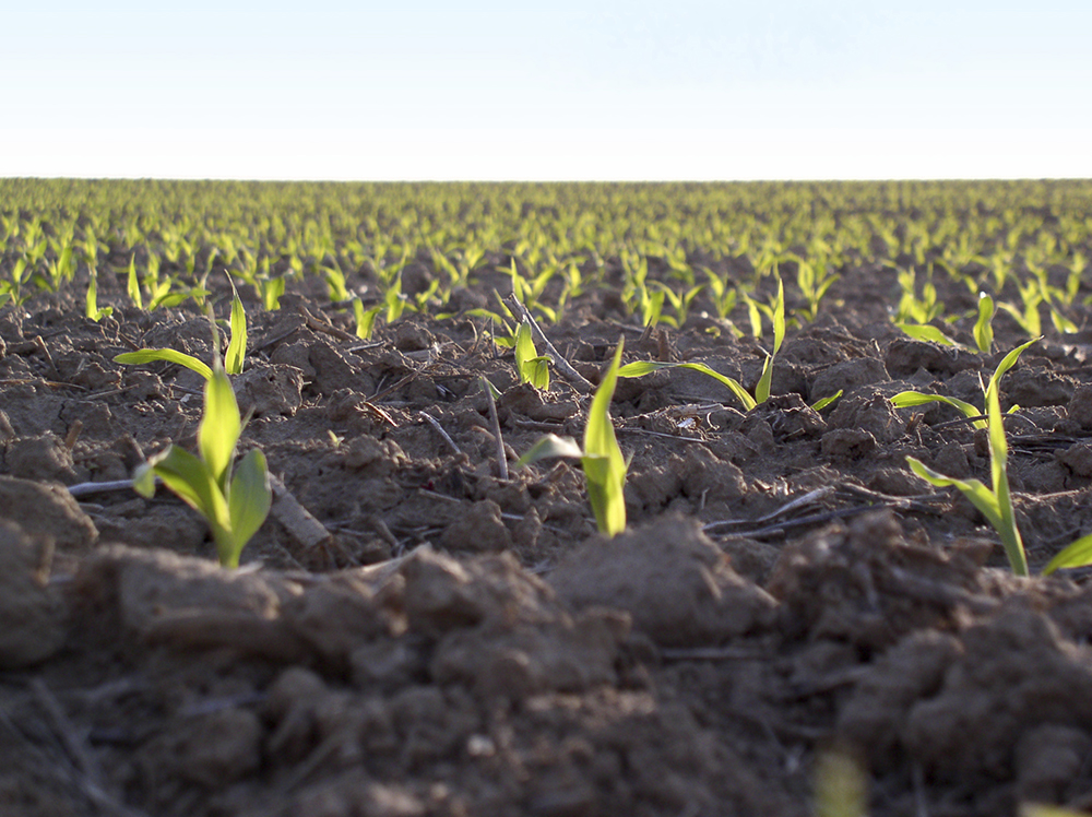 2022 Sustainable Agronomy Conference Virtual-Event Series Kicks Off in July
