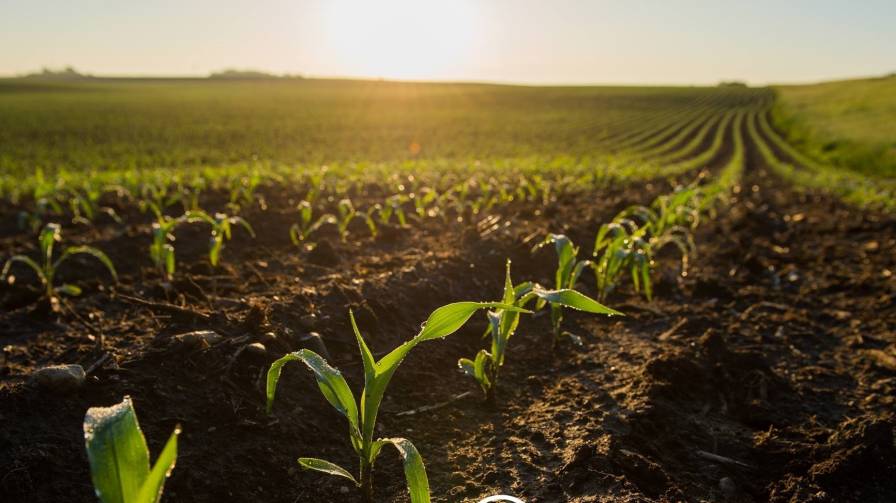 Land O’Lakes Positioned to Support Carbon-Curious Farmers