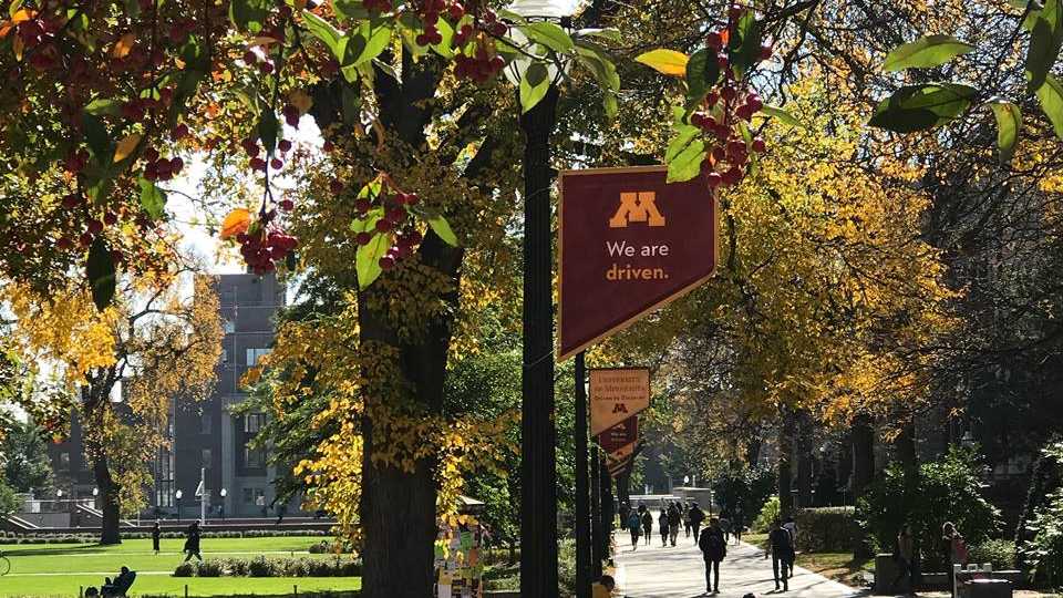 How the Best Ag Colleges Around the Globe Stack up in 2022