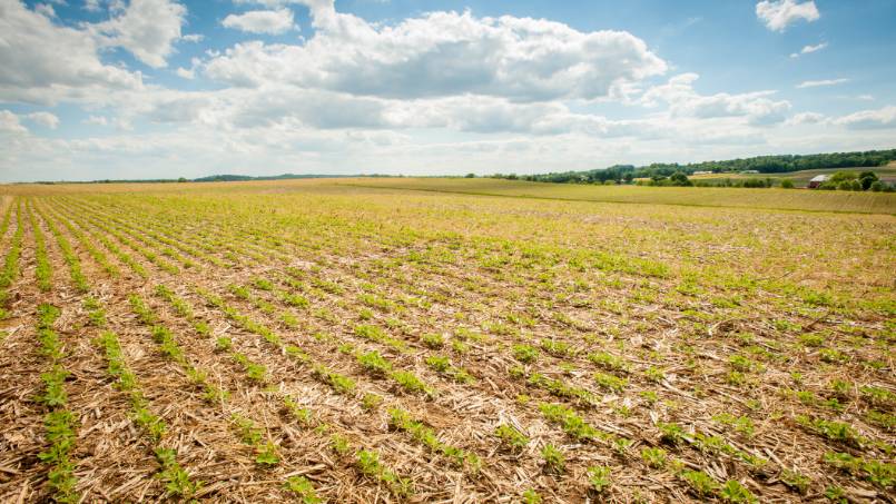 New Truterra and AGI Pilot Puts Ag Retailers at the Center of Helping Automate, Streamline Data Entry