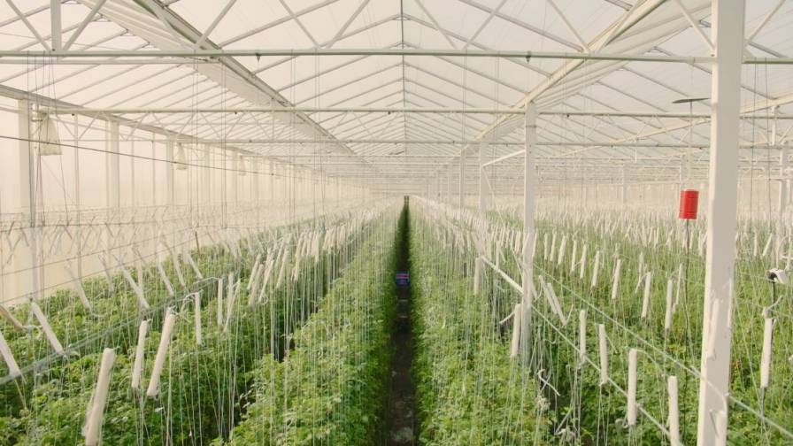 Q2 2022 AgTech Venture Capital Investment and Exit Round Up