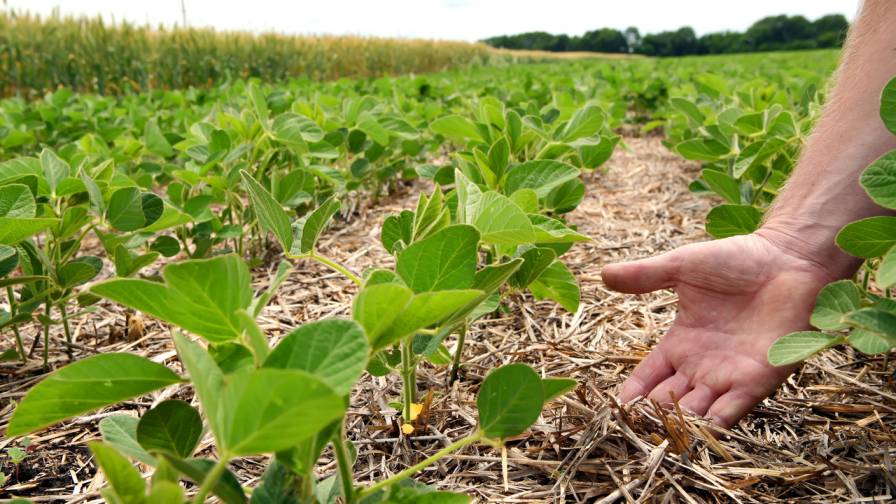 Syngenta Group Continues Momentum with Strong Growth in Q2 2022