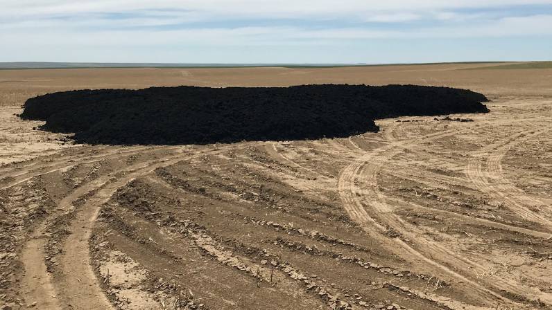 How Biosolids Supply Crops With Key Micronutrients
