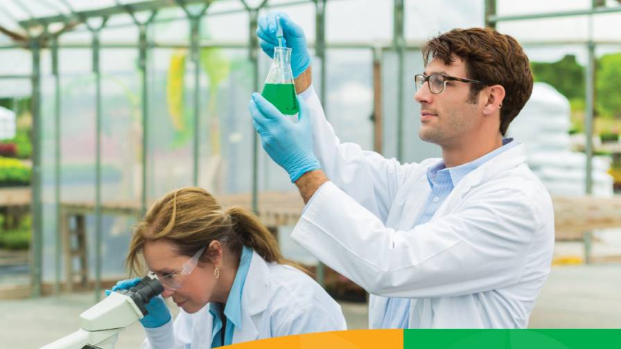Syngenta Group Recognized Again As Top Agriculture Employer