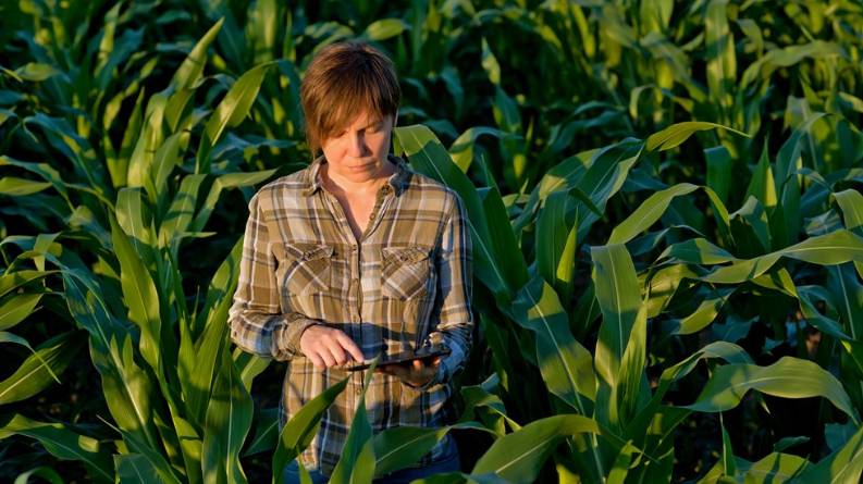 Truterra and Soil and Water Conservation Society-led Research Demonstrates Value of Cover Crops for the Environment