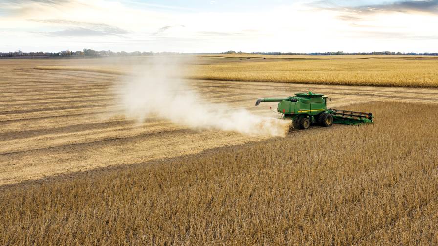 NK Seeds Introduces 2023 NK Soybean Lineup
