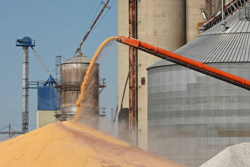 AGI, Boa Safra Ag Team Up to Connect Grain Farms to Expanded Services