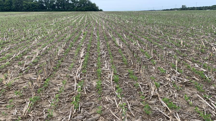 Tendovo Soybean Herbicide from Syngenta Earns Positive Reviews During First Season