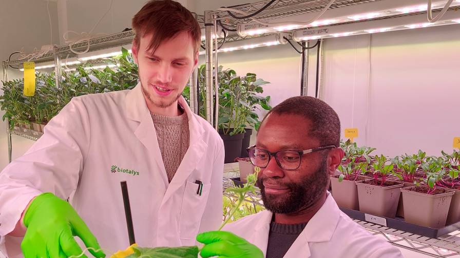 Biotalys Achieves First Milestone in Bioinsecticide Partnership with Syngenta