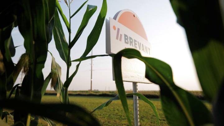 Brevant Seeds: Retailer Facing with Grower Profitability in Mind