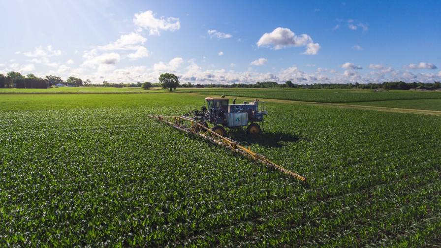 Here’s What Driving Growth in the Micronutrients Market