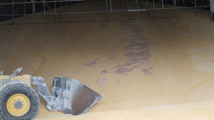 Fall Fertilizer Outlook: Leading Ag Retailers ‘Expect Demand to Rebound’