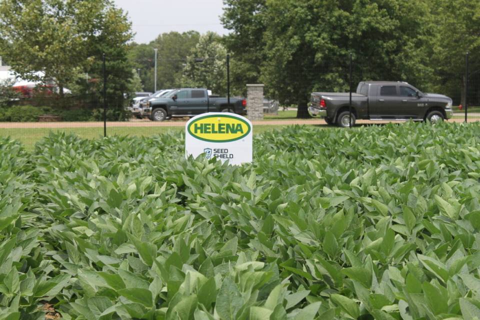 Helena Launches Two Exclusive Soybean Seed Treatments for the 2024 Growing Season