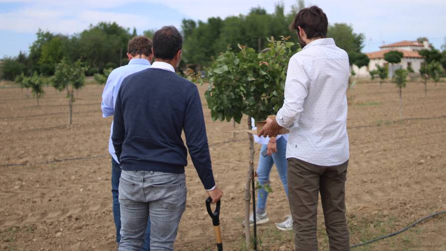 Scouting Tools Continue to Deliver Increased Agronomic Insights