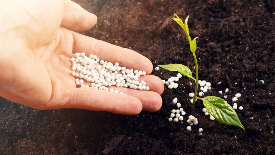 2023 Fertilizer Sales Were a Mixed Bag for Leading Ag Retailers
