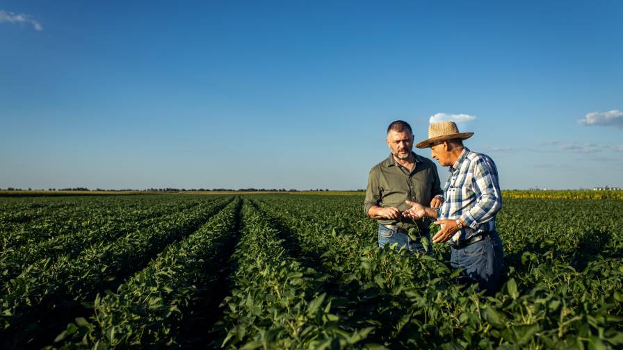 More than 750 Farmers Call on Ag Secretary Rollins to Prioritize Diversifying Ag Production