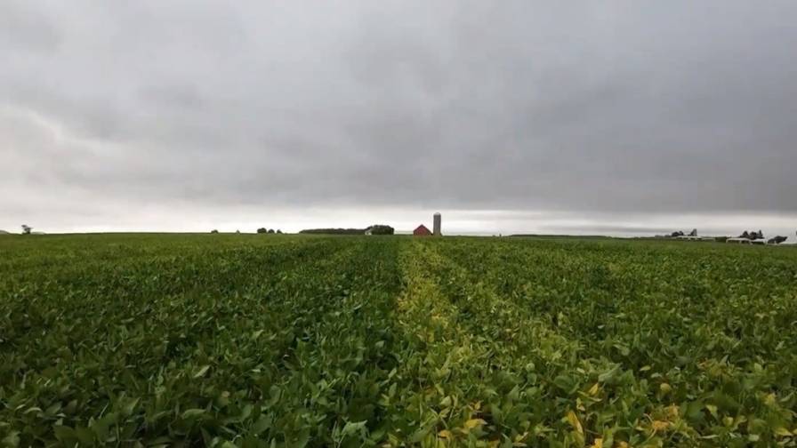 How Short Lane Ag Partnered With a Soybean Grower to Test Seed Treatments for White Mold