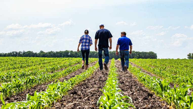 The Need for Nitrogen Stabilizers Is Greater Than Ever