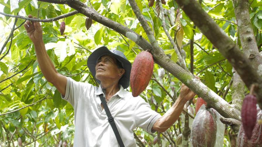 The Dawn of ‘Chocolate’ Fertilizer